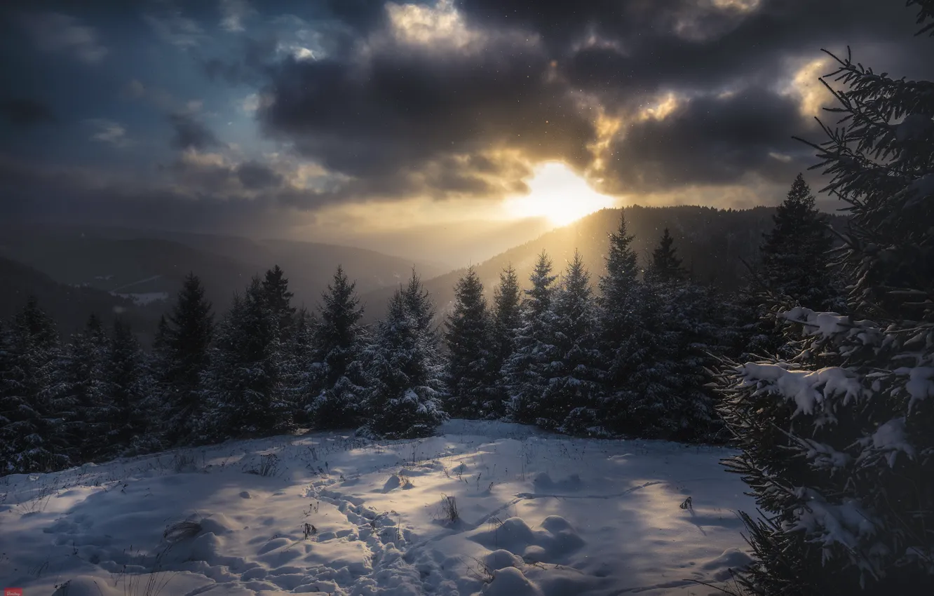 Фото обои зима, снег, деревья, пейзаж, горы, следы, тучи, природа