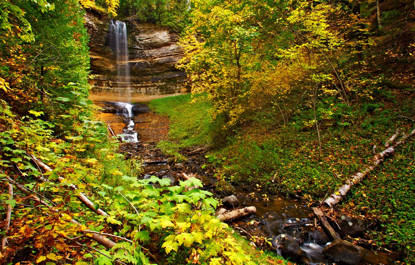 Фото обои осень, лес, листья, деревья, скала, водопад, поток