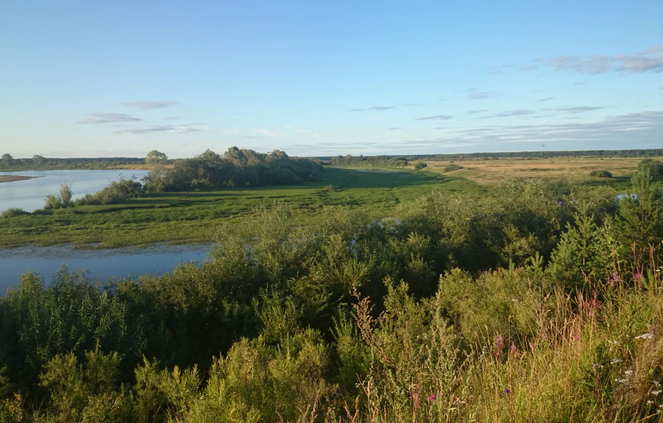 Фото обои поле, река, даль