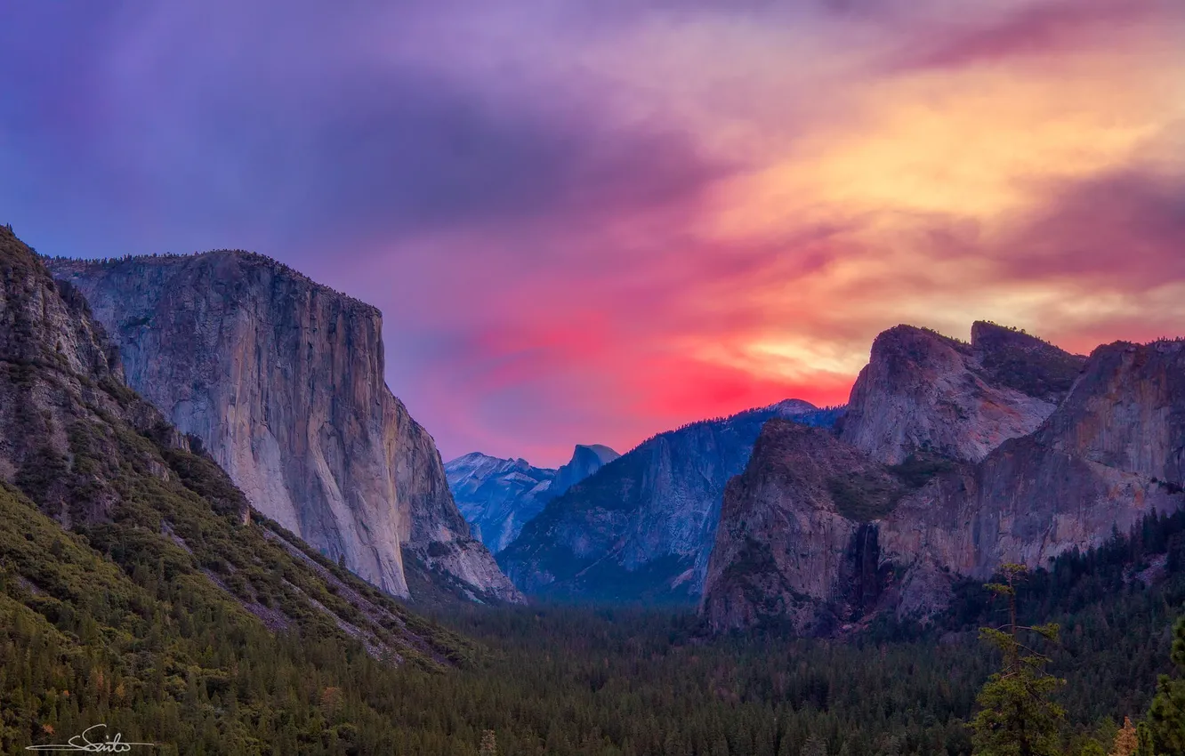 Фото обои лес, горы, скалы, рассвет, долина, сша, Национальный парк Йосемити, Yosemite National Park