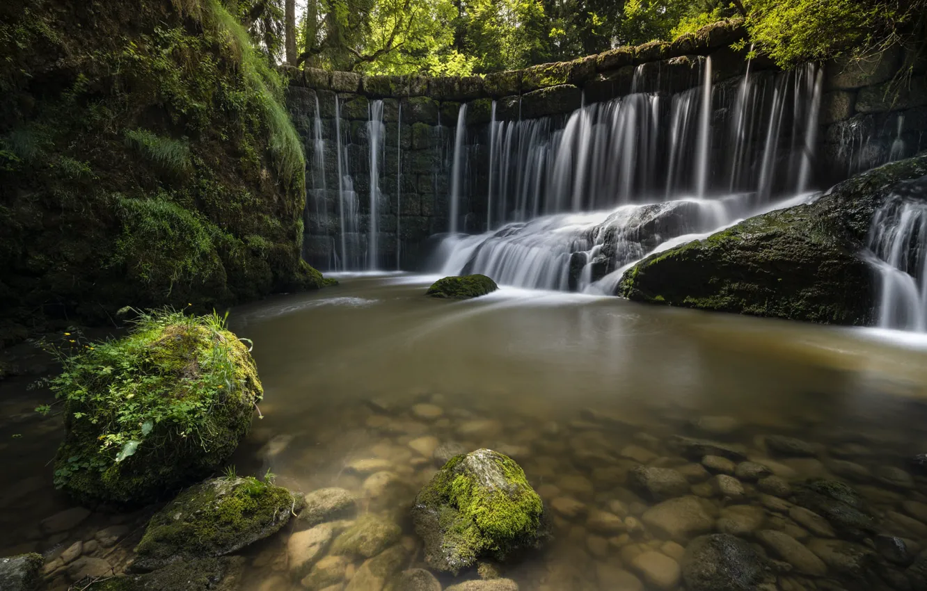 Фото обои лес, камни, стена, растительность, водопад, дно, водоем, каменная кладка