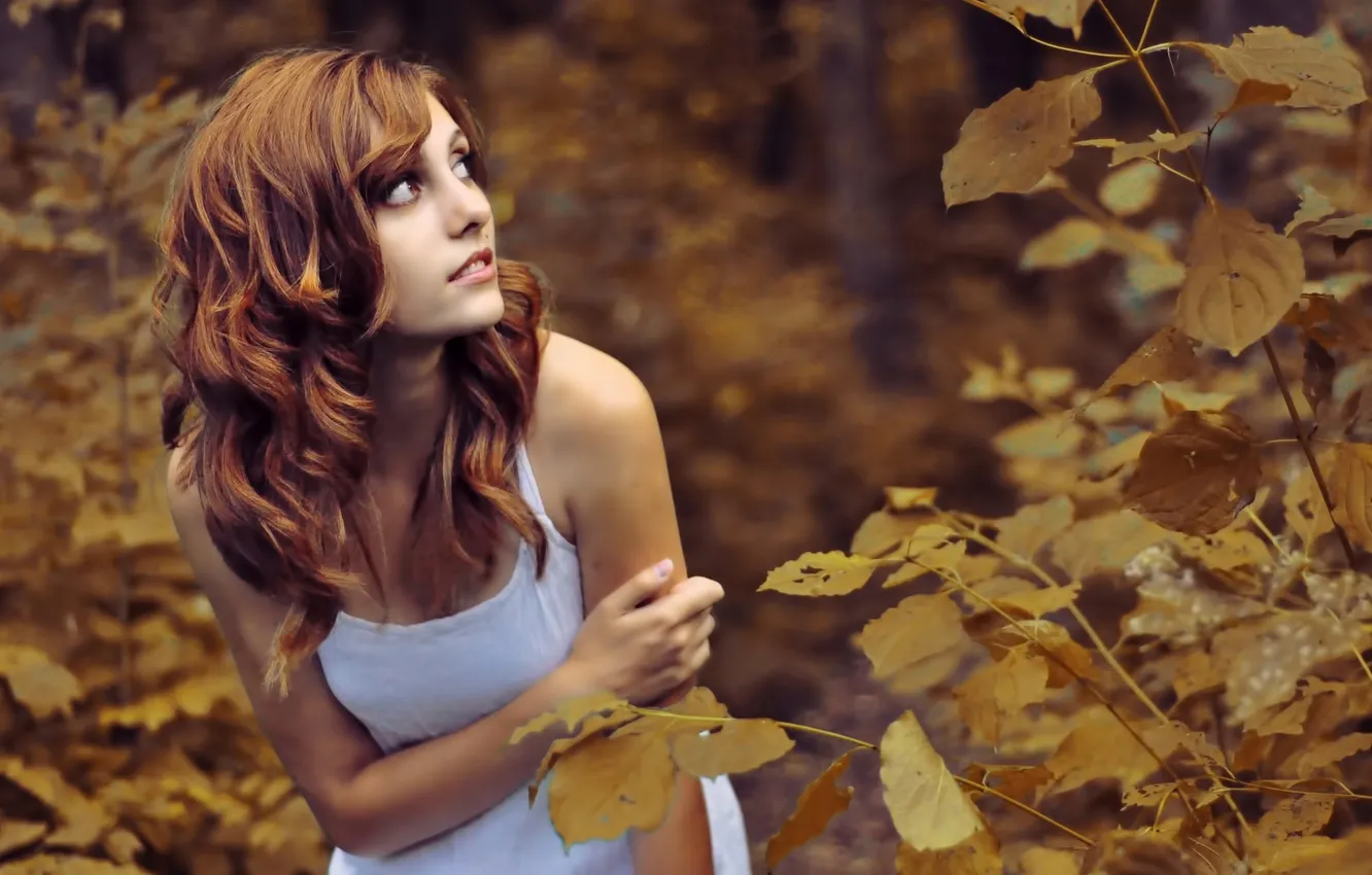 Фото обои осень, взгляд, листья, девушка, природа, волосы, белая, girl