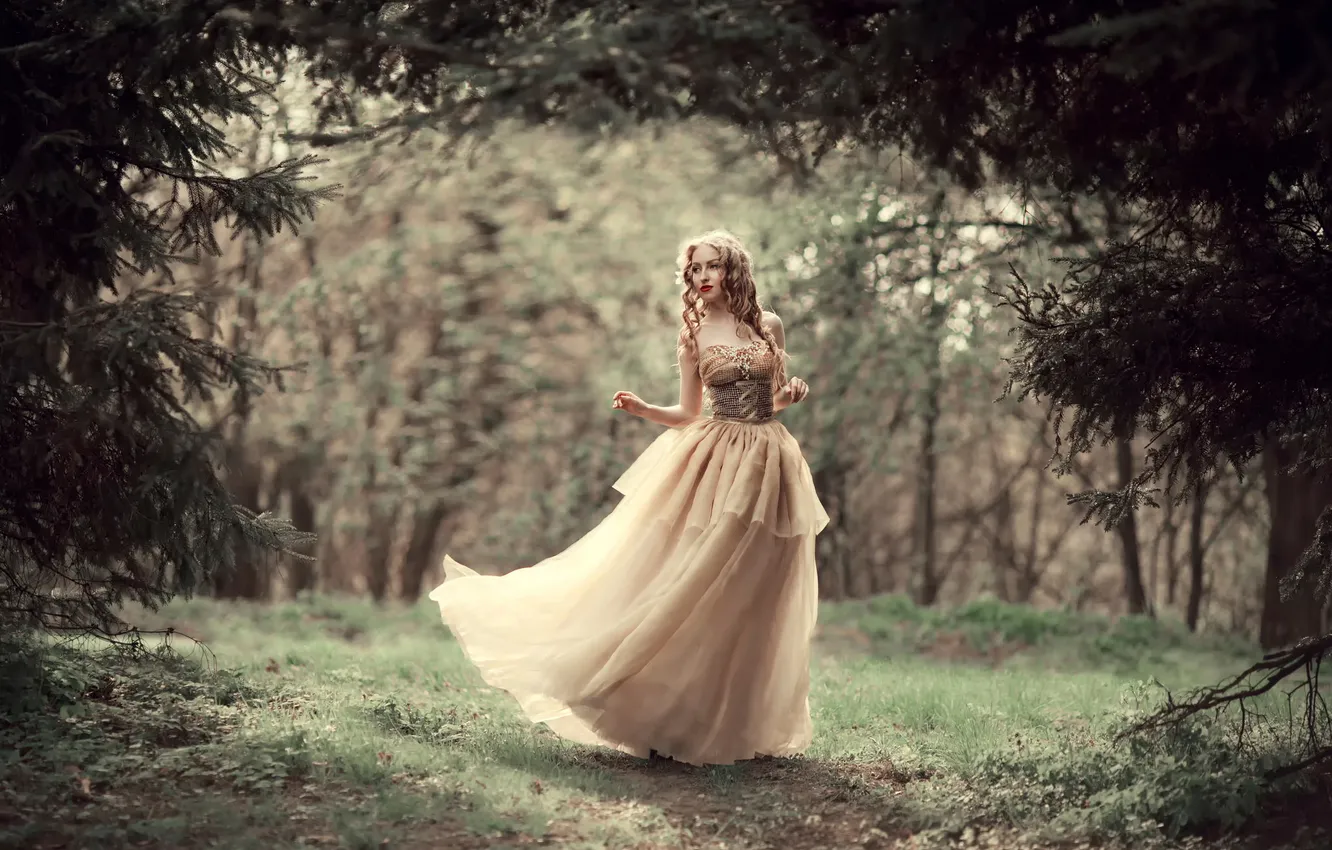 Фото обои лес, девушка, платье, боке