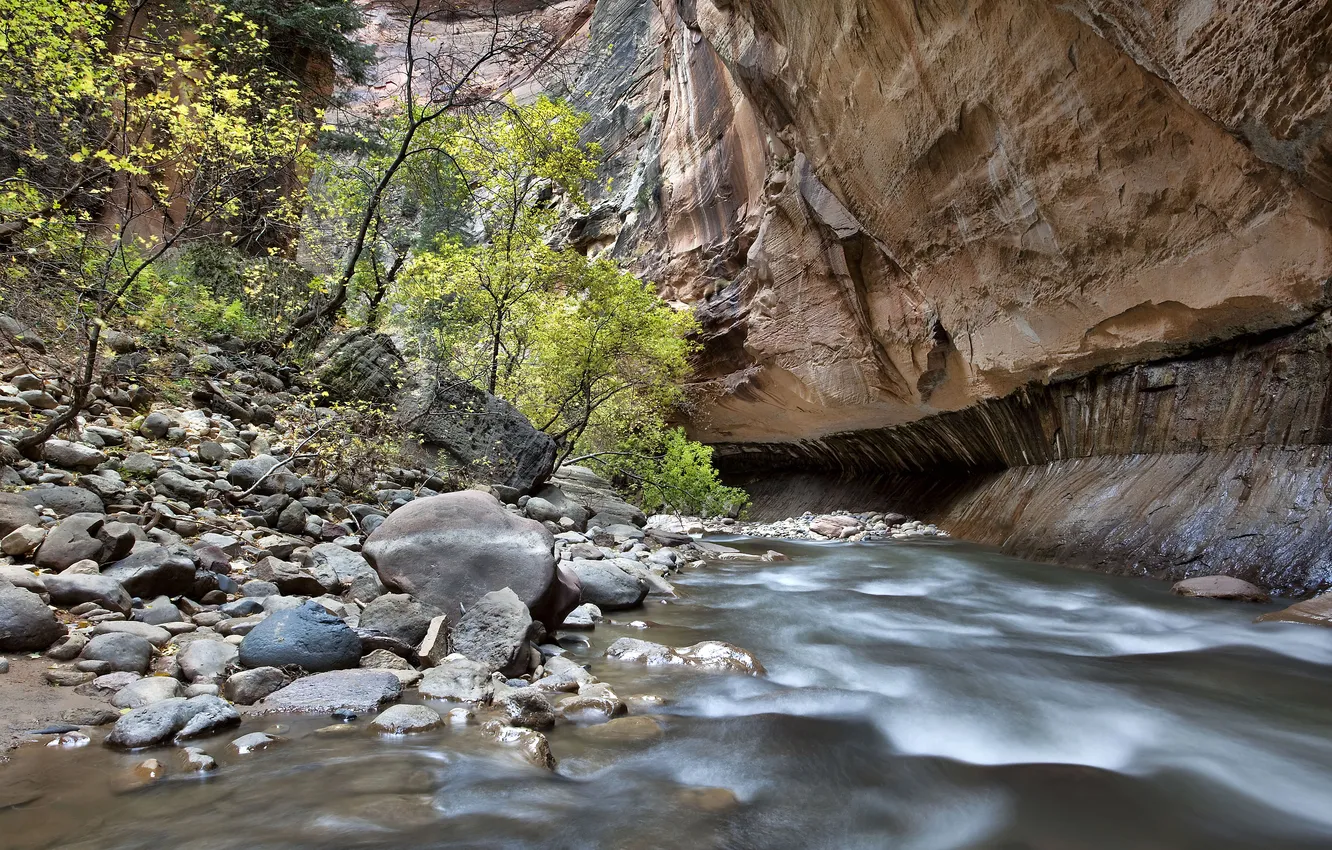 Фото обои деревья, река, ручей, камни, скалы, каньон, Zion National Park, сша