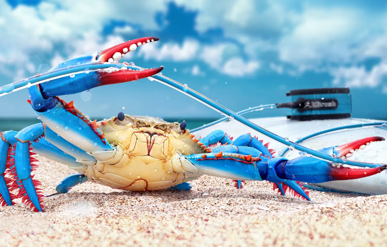 Фото обои рендеринг, краб, render, digital art, blue crab