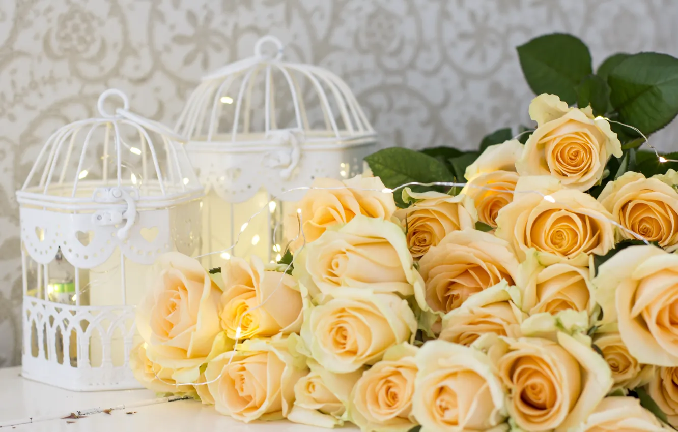 Фото обои цветы, розы, желтые, yellow, flowers, roses