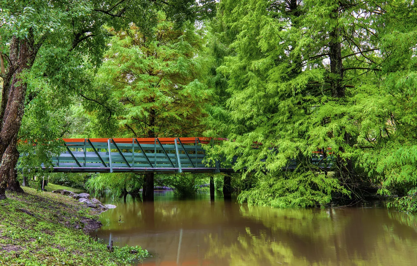 Фото обои зелень, деревья, мост, пруд, парк, Австралия
