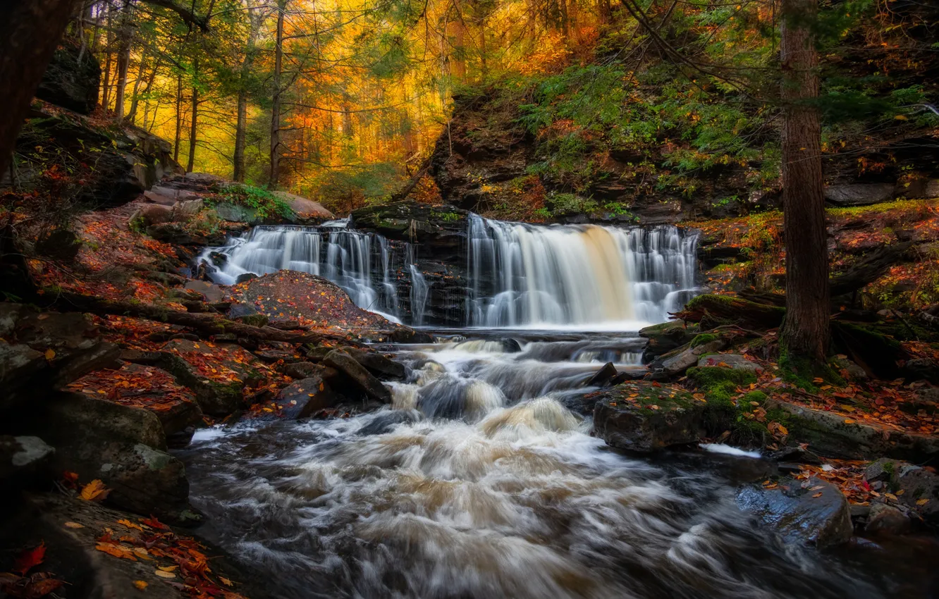 Фото обои осень, лес, река, водопады, Пенсильвания, каскад, Pennsylvania, Ricketts Glen State Park
