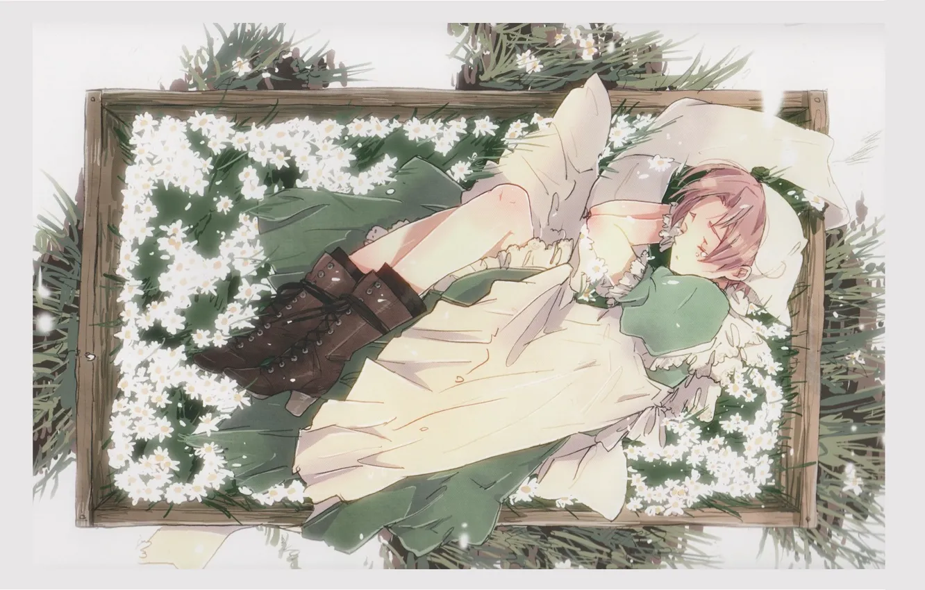 Фото обои трава, девушка, цветы, сон, ящик, платок, France, колени