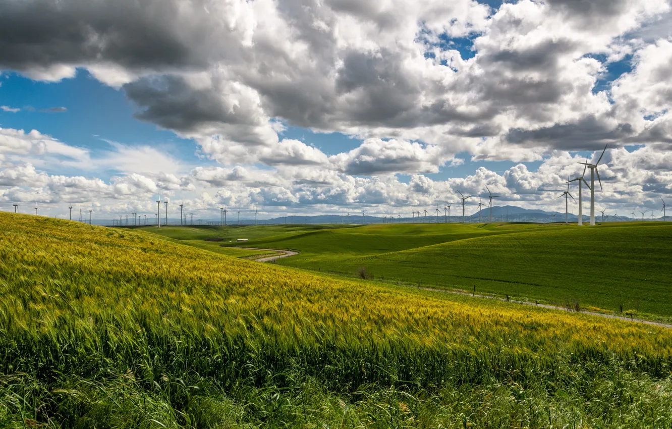 Фото обои grass, sky, nature, clouds, fields, wind turbines