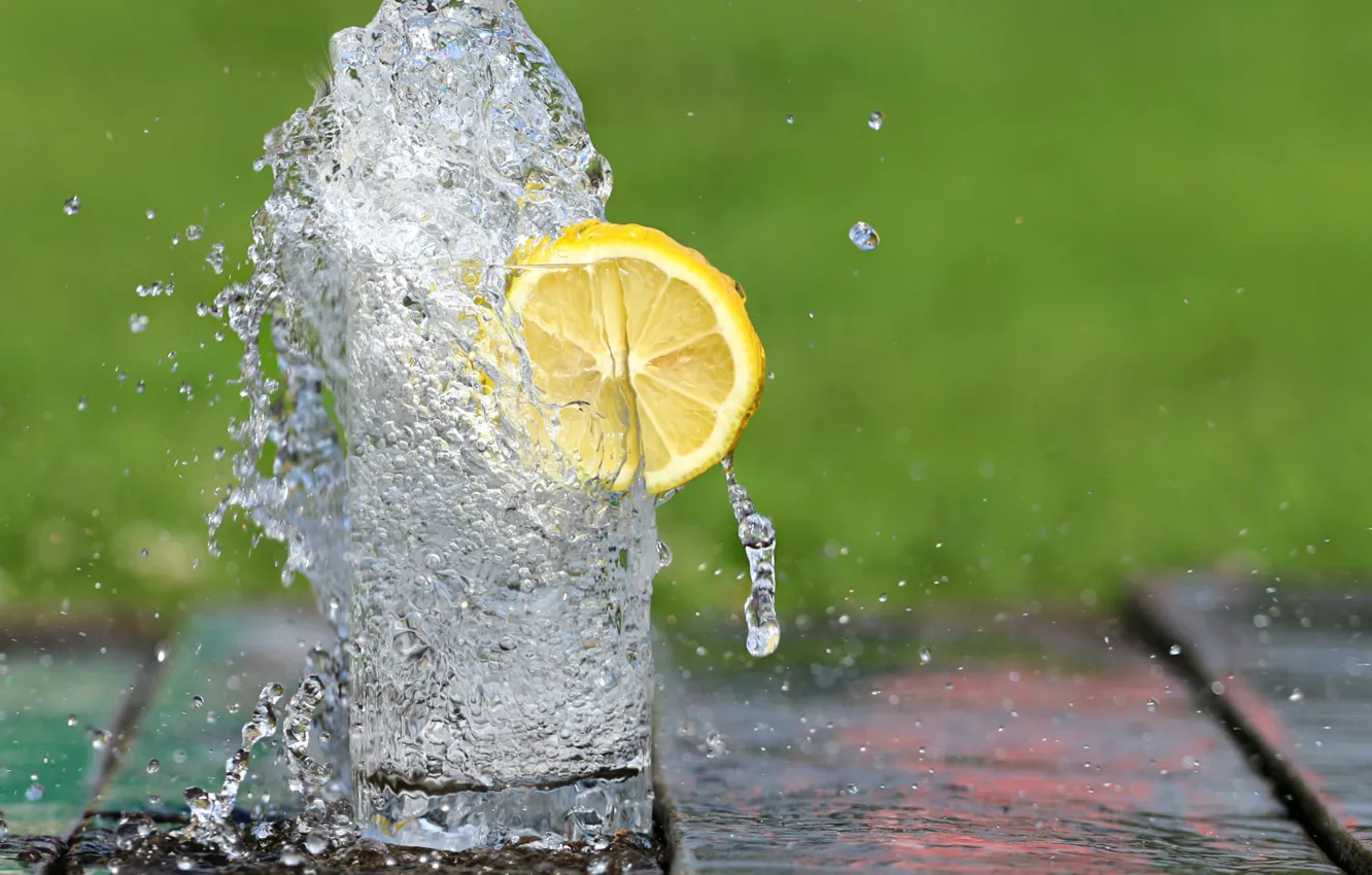Фото обои lemon, nature, water, leaf