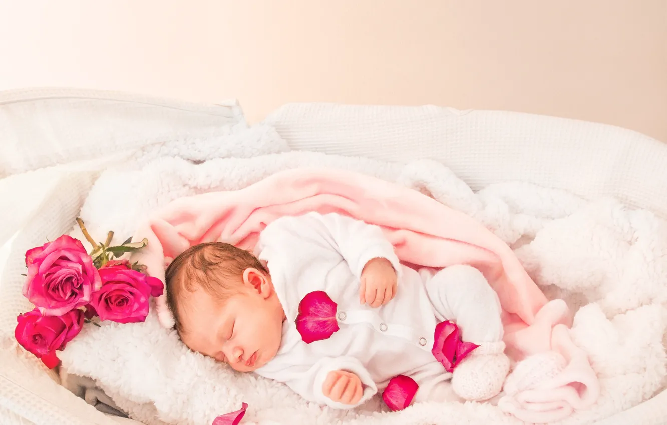 Фото обои зима, счастье, тепло, розы, лепестки, малыш, спит, младенец