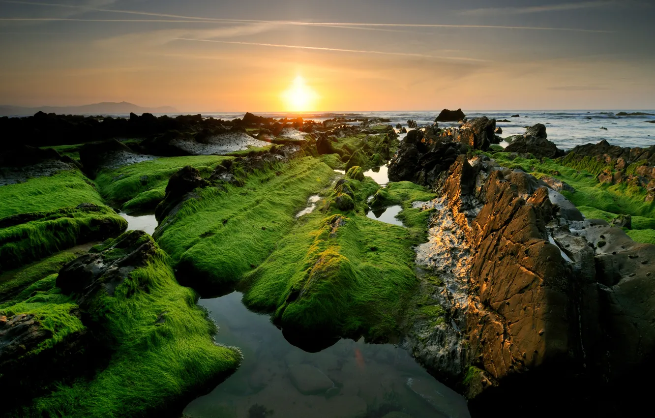 Фото обои море, солнце, камни, скалы, зеленые