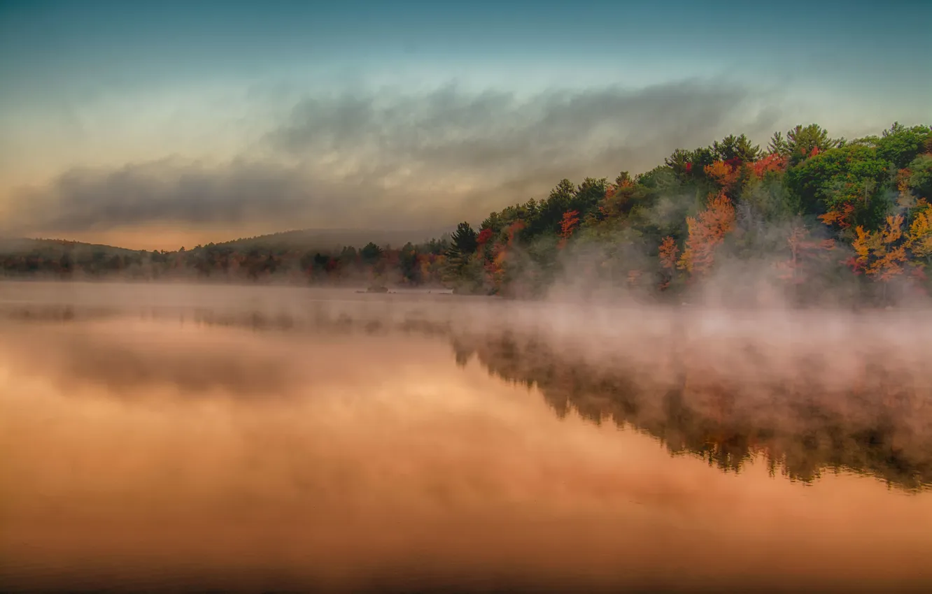 Фото обои небо, облака, деревья, туман, озеро, отражение, зеркало