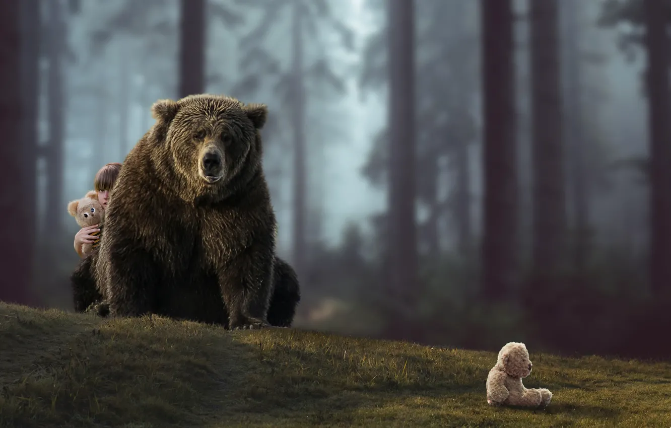 Фото обои ситуация, медведь, девочка