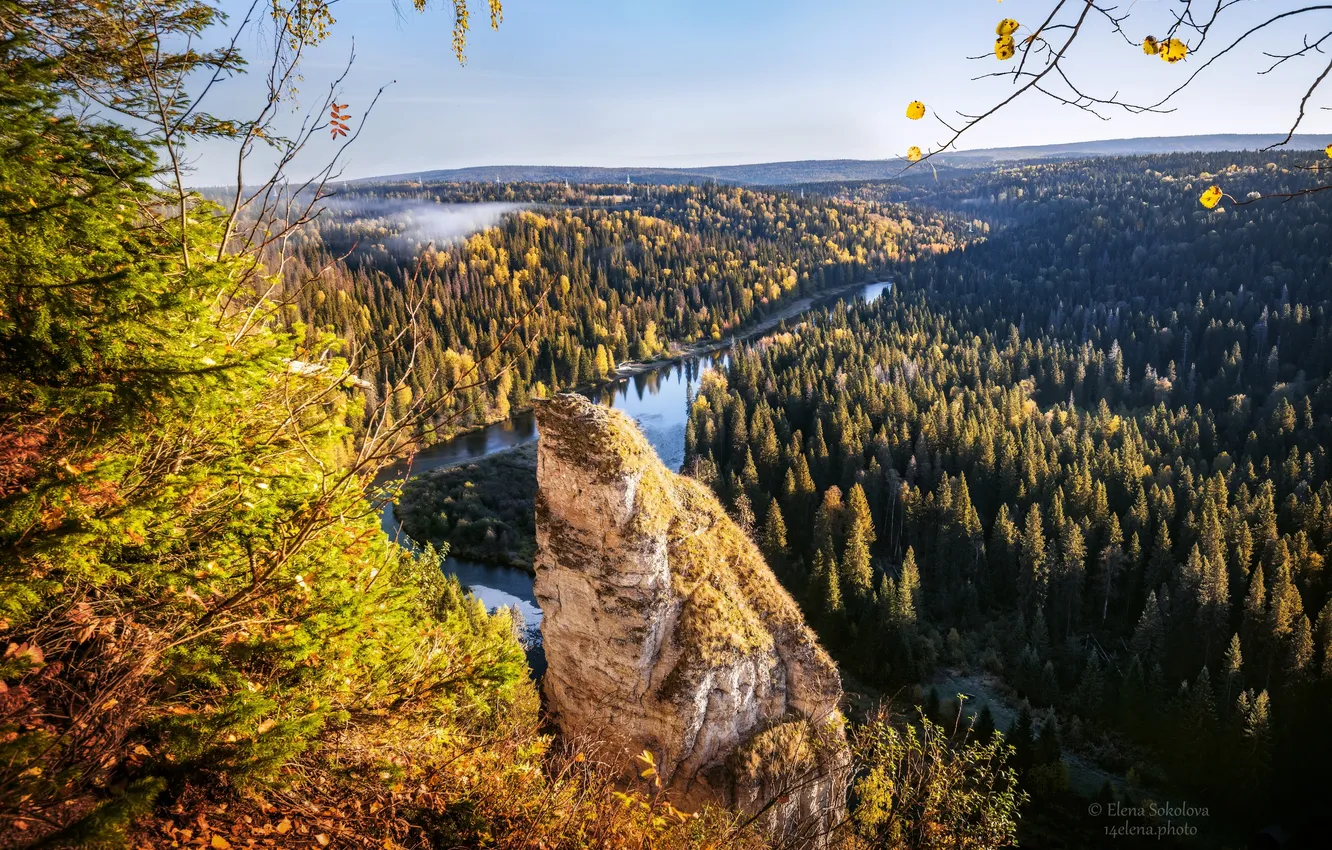 Фото обои colors, forest, river, wonderful