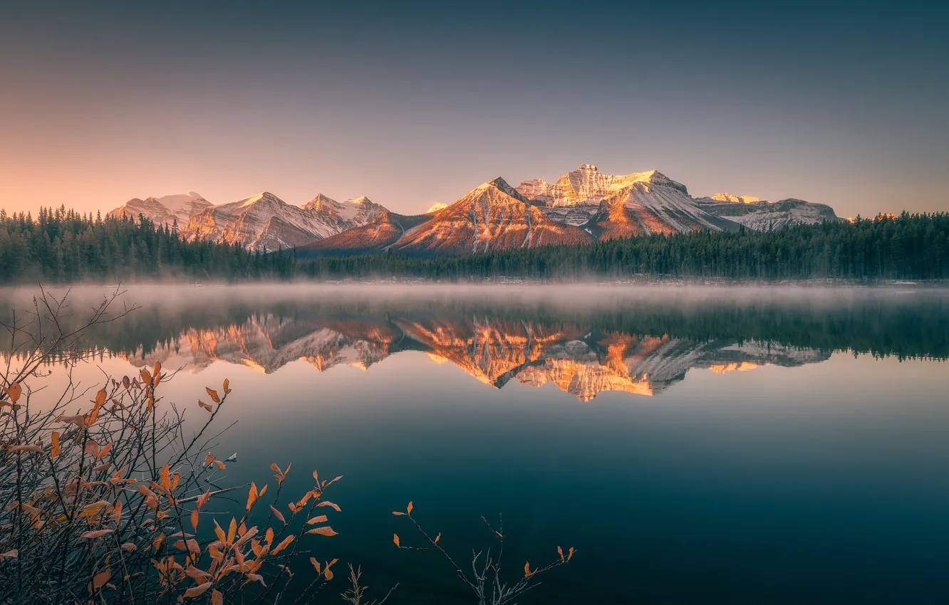 Фото обои осень, лес, горы, отражение, листва, водоем