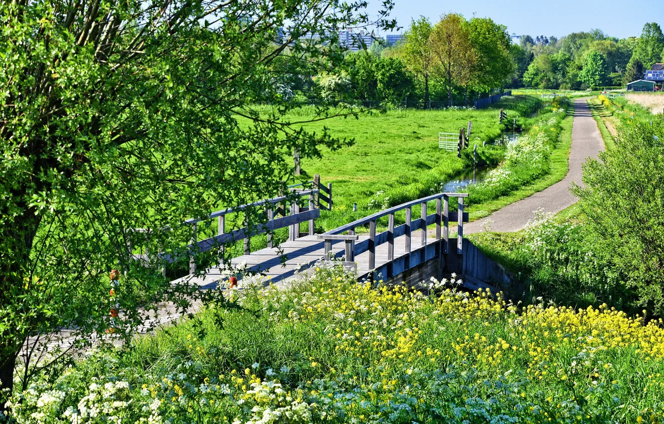 весна мост