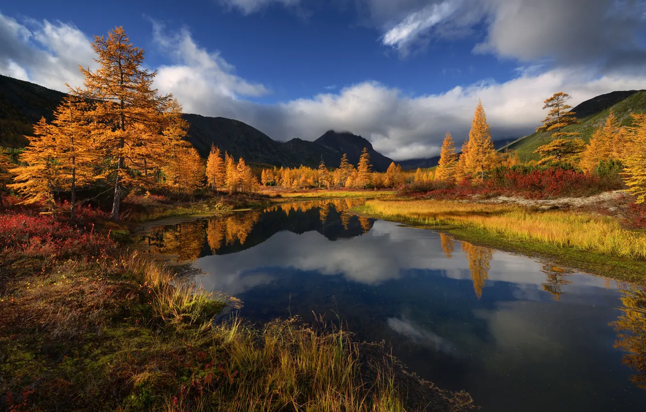 Фото обои осень, вода, деревья, горы, ручей, Россия, Магаданская область, Хребет Черского