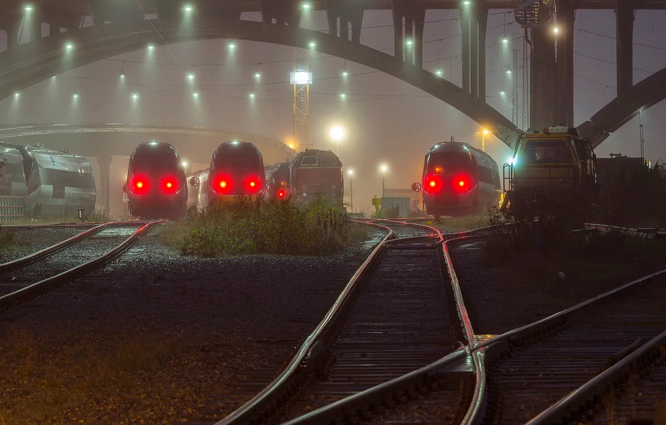 Фото обои туман, поезда