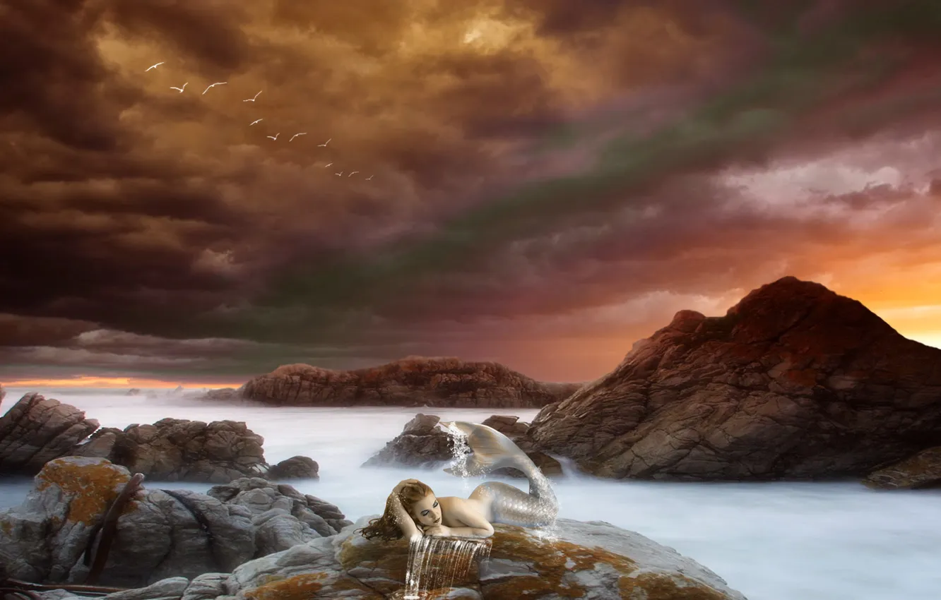 Фото обои море, небо, девушка, птицы, тучи, океан, скалы, русалка