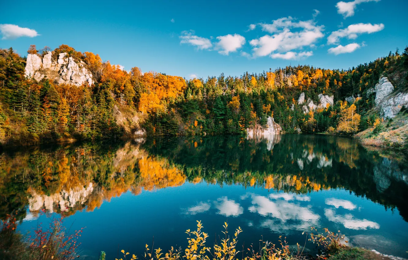 Фото обои осень, лес, небо, вода, облака, деревья, озеро, отражение