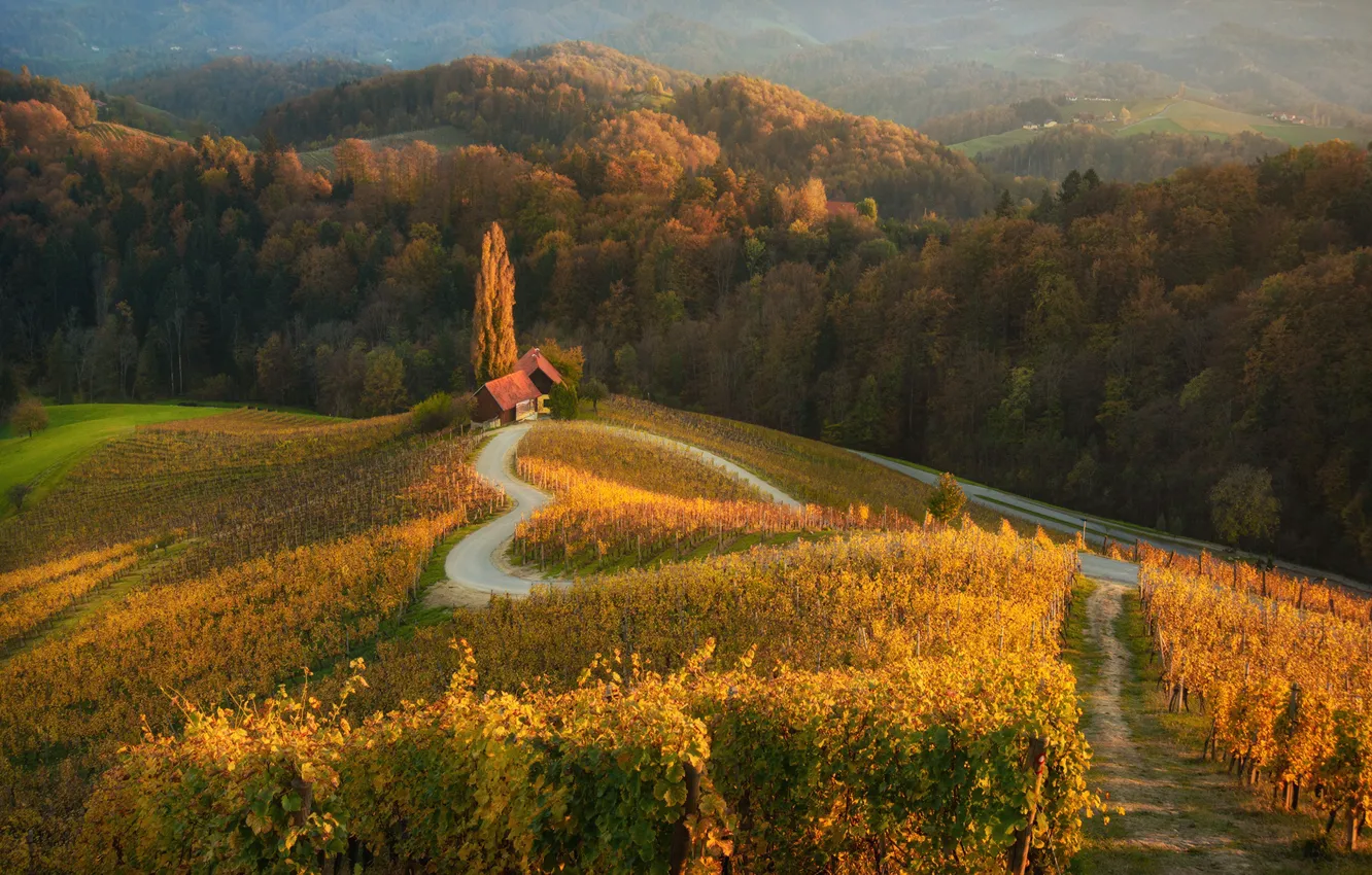 Фото обои дорога, осень, лес, закат, дом, Словения, Краси Матаров