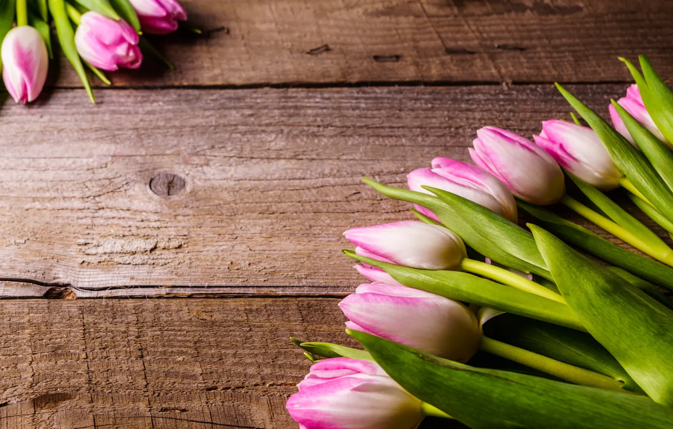 Фото обои цветы, букет, тюльпаны, розовые, fresh, wood, pink, flowers