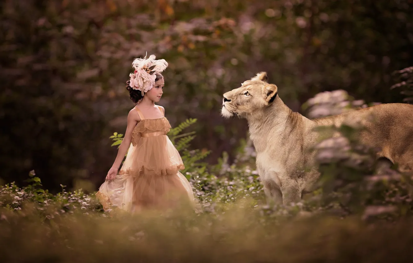 Фото обои природа, животное, хищник, платье, девочка, наряд, львица