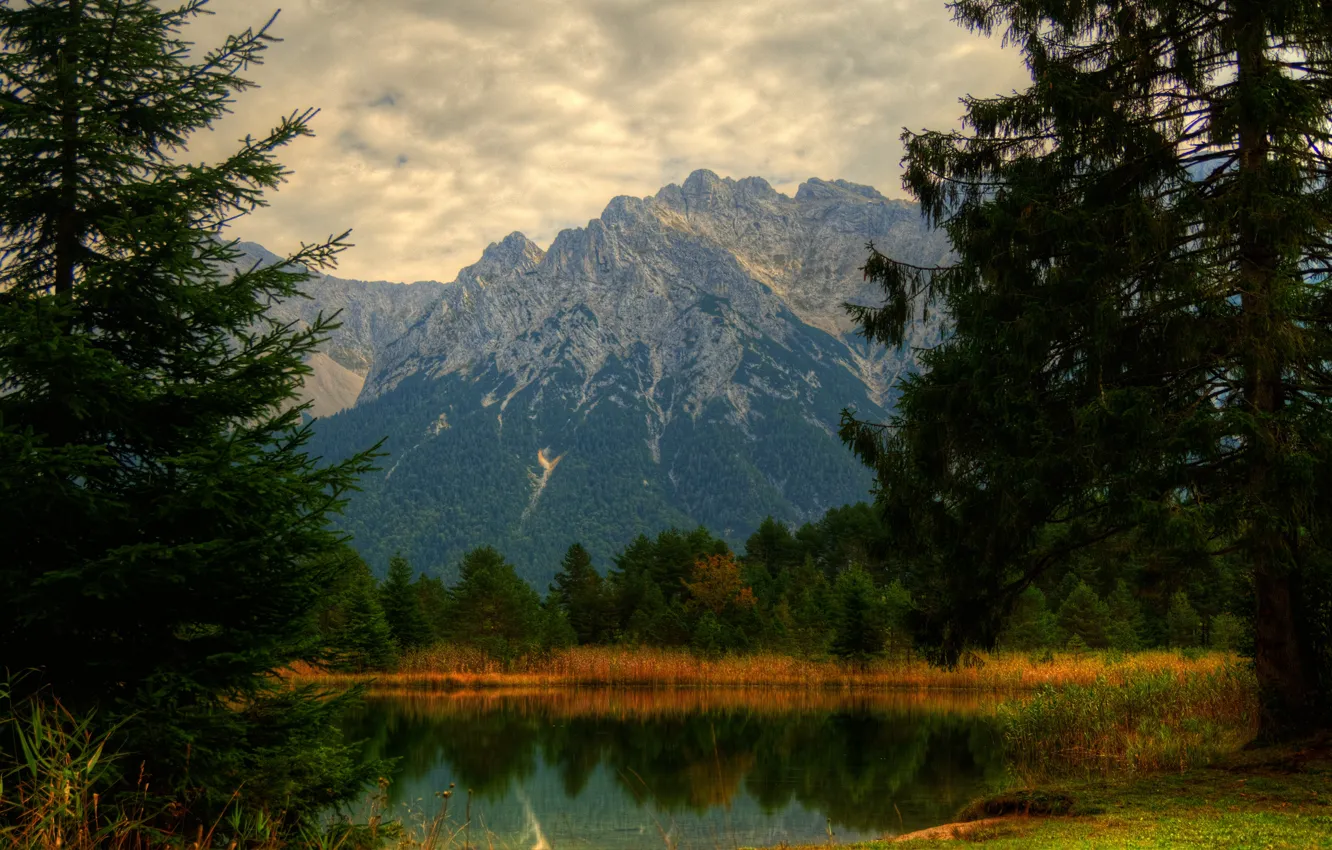 Фото обои осень, лес, трава, горы, ветки, озеро, пруд, берег