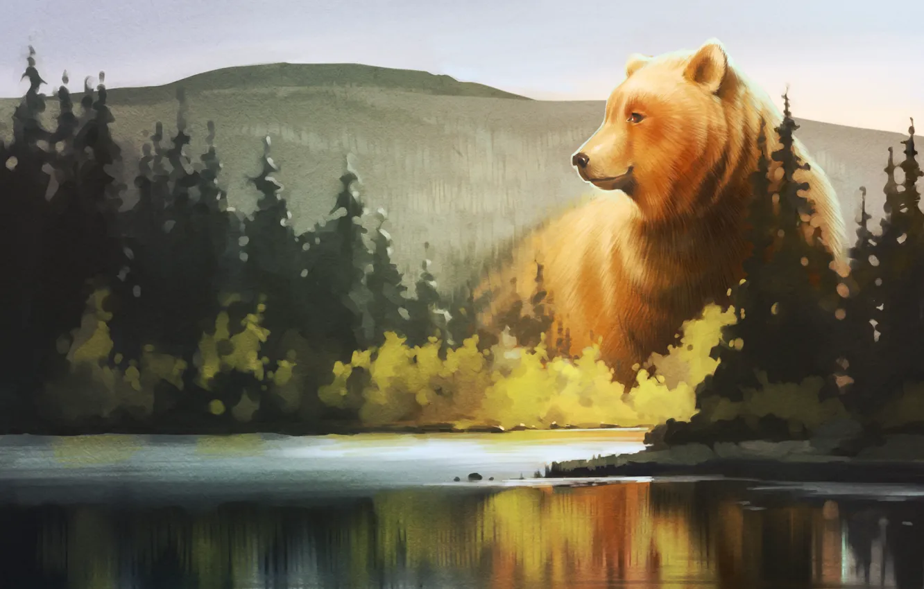 Фото обои лес, озеро, медведь