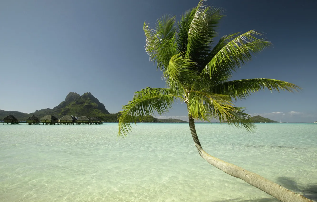 Фото обои море, пальма, остров, дома