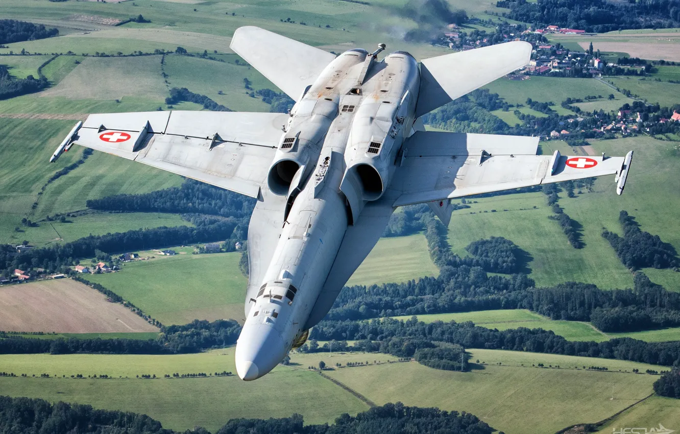Фото обои Поле, Лес, Истребитель, ВВС Швейцарии, F/A-18 Hornet, HESJA Air-Art Photography