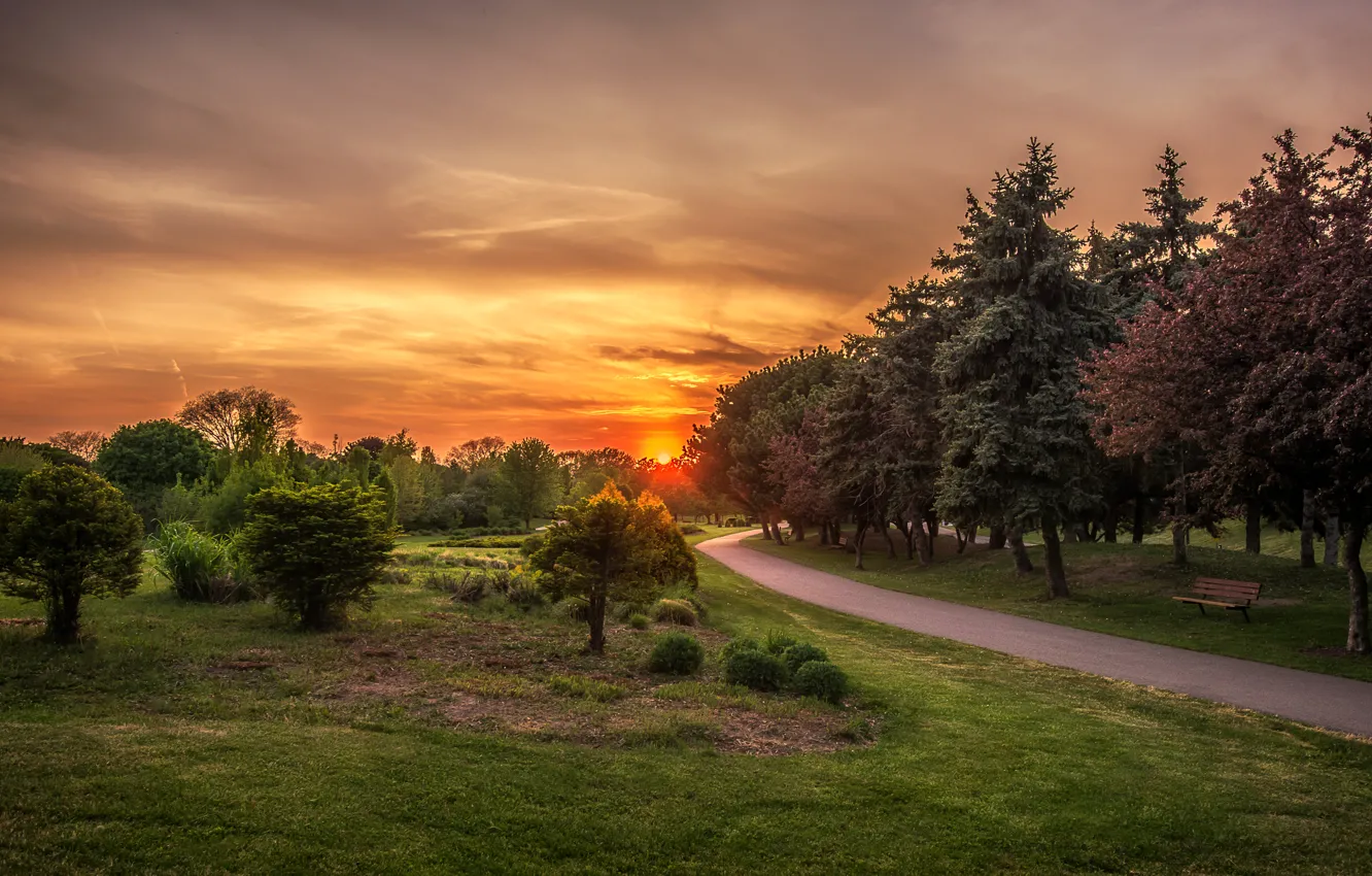 Фото обои небо, солнце, деревья, парк, рассвет, Канада, скамейки, Ontario