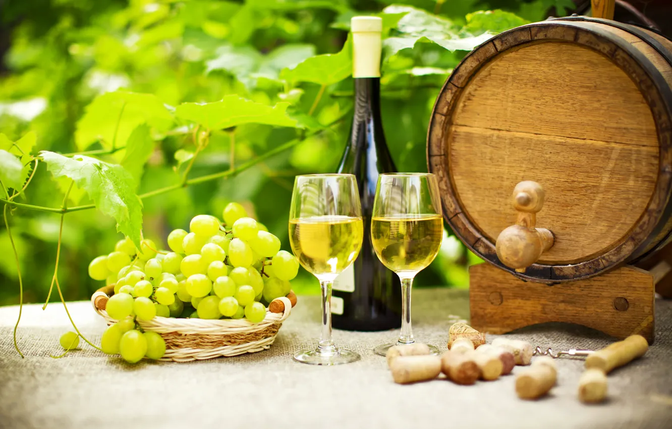 Фото обои зелень, стол, вино, бутылка, сад, бокалы, виноград, пробки