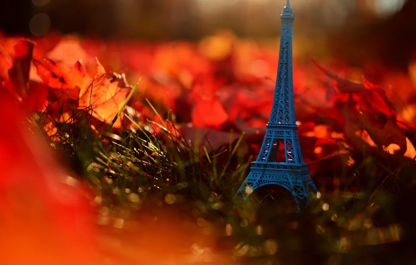 Фото обои осень, трава, листья, природа, Франция, Париж, Эйфелева башня, Paris