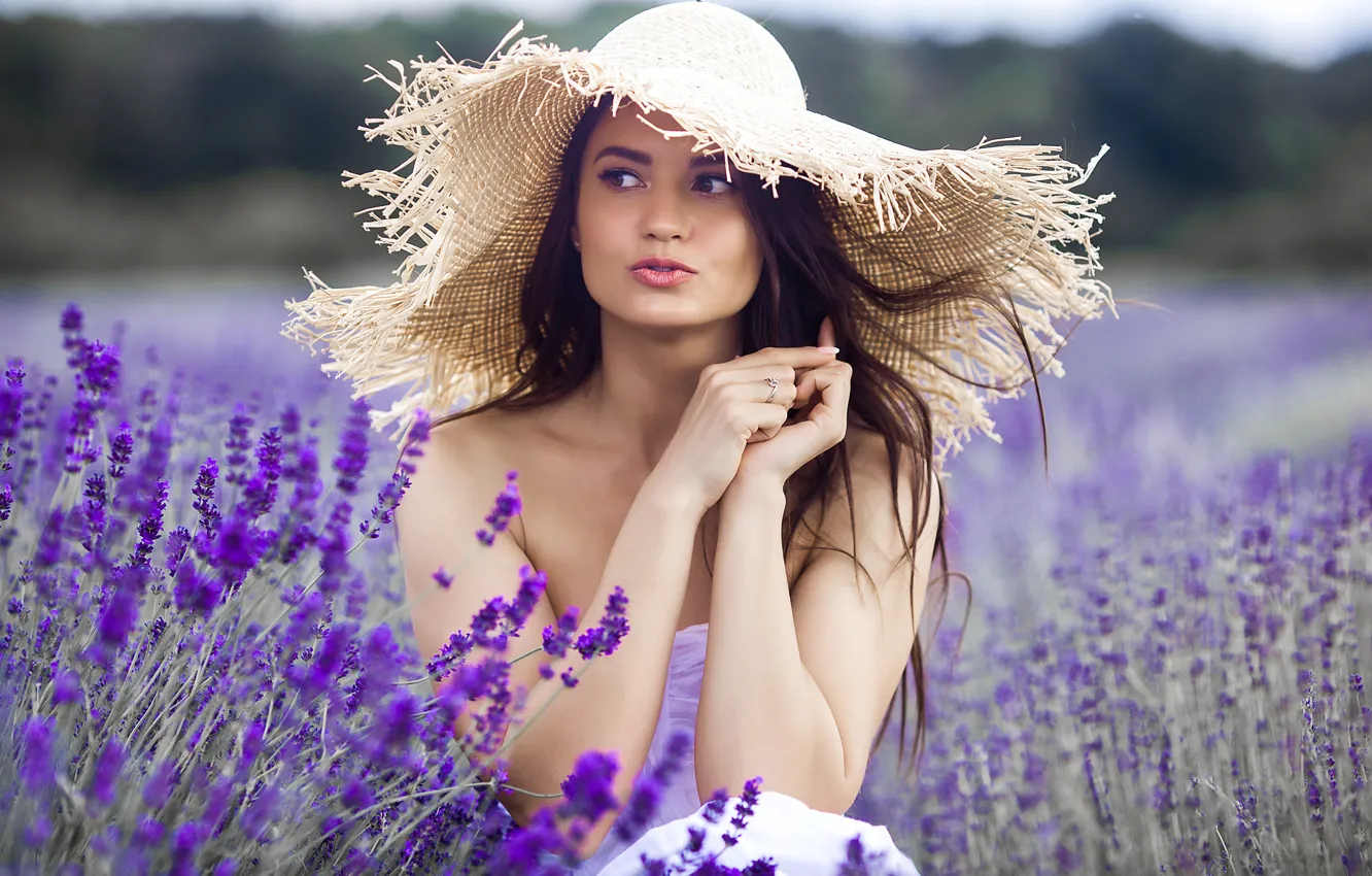 Фото обои поле, лето, девушка, цветы, портрет, шляпка