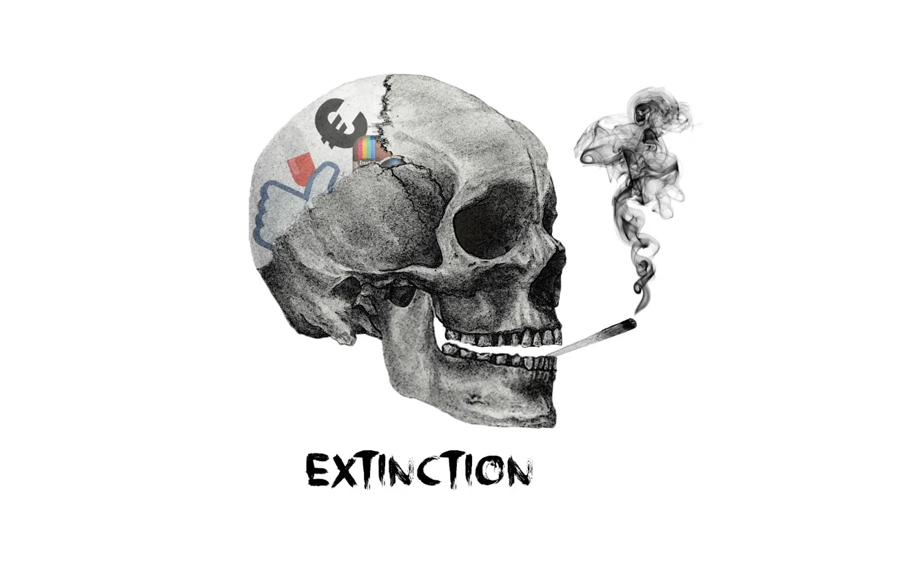 Фото обои network, social, extinction