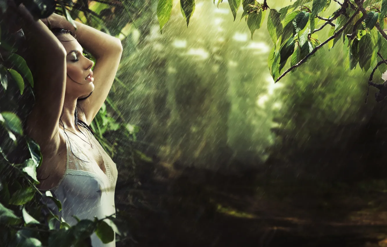 Фото обои зелень, девушка, деревья, ветки, природа, дождь, брюнетка