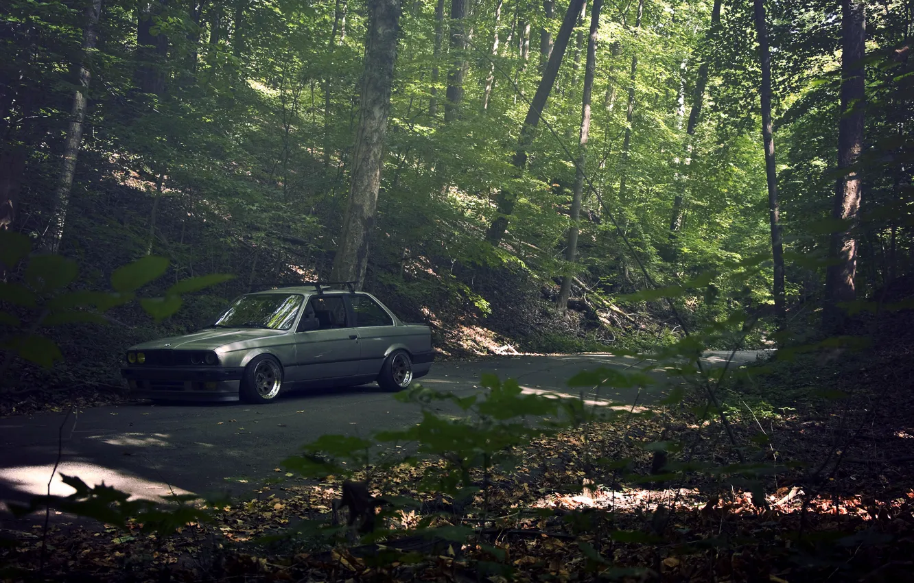 Фото обои дорога, лес, серый, бмв, BMW, sedan, E30, 3 серия