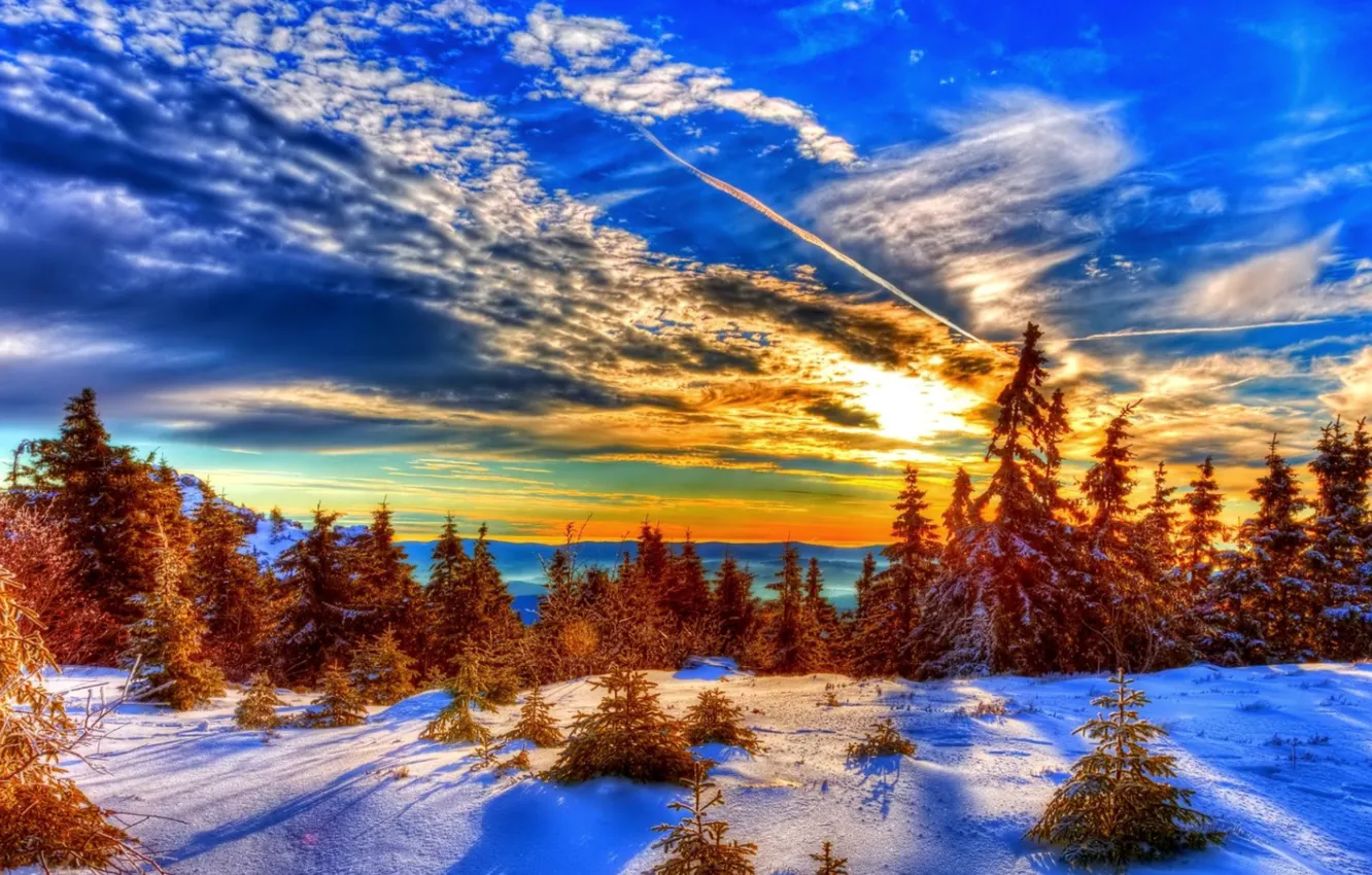 Фото обои зима, небо, снег, деревья, природа