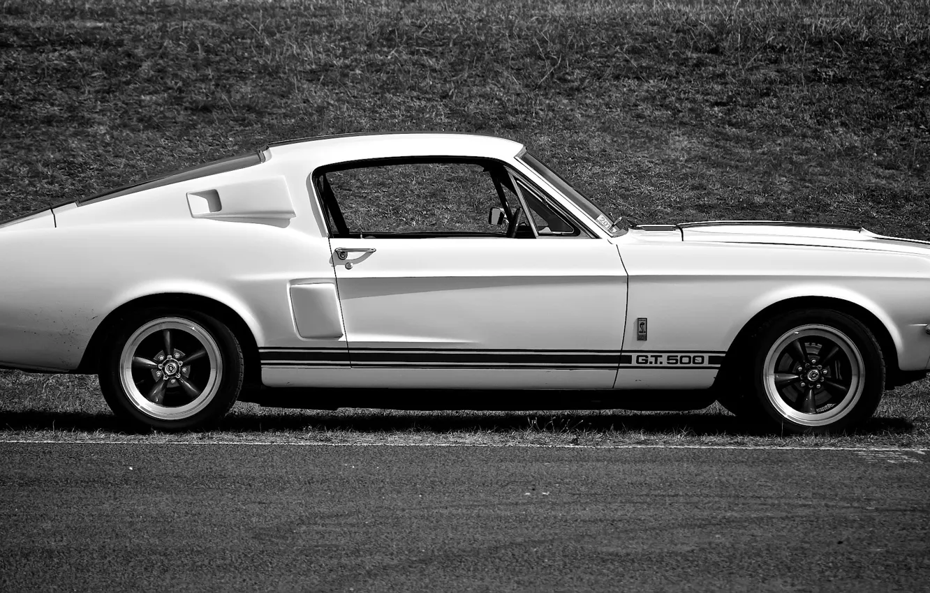 Фото обои Mustang, Ford, Shelby, GT500, Muscle car