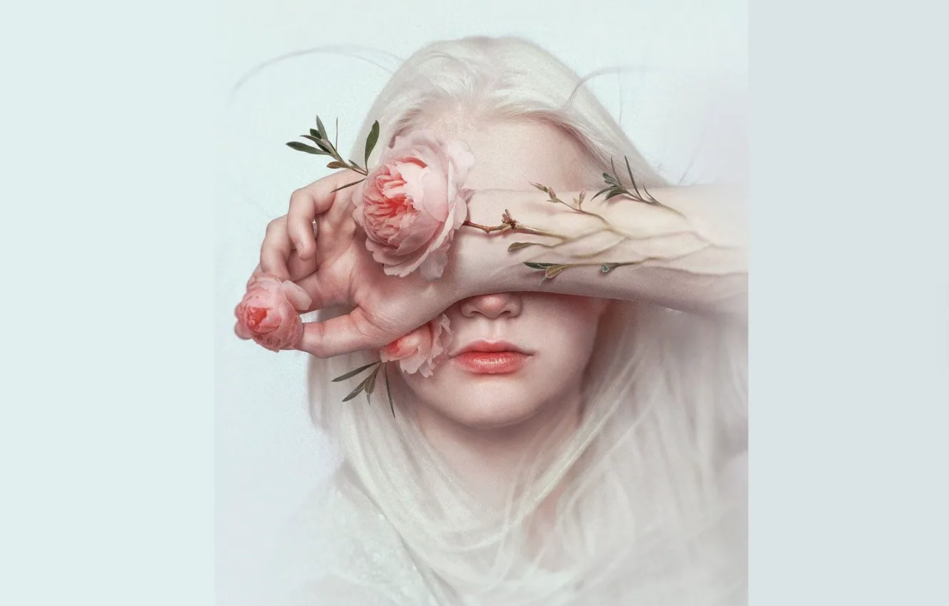 Фото обои рука, голубой фон, розовые розы, портрет девушки, длинные белые волосы, закрыла лицо