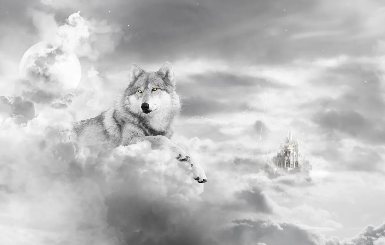 Фото обои белый, замок, волк, арт