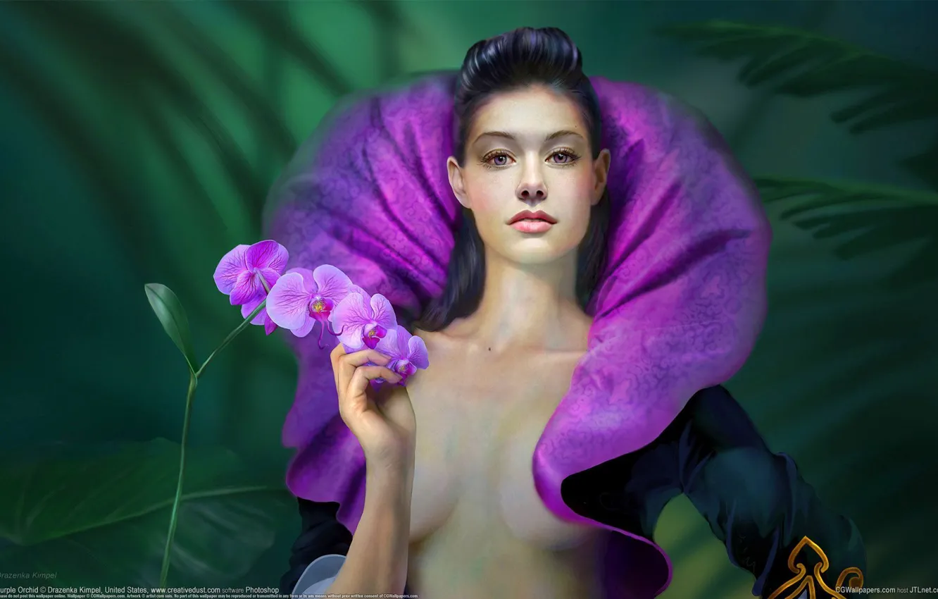 Фото обои зелень, цветок, девушка, арт, воротник, орхидея, drazenka kimpel, фалинопсис