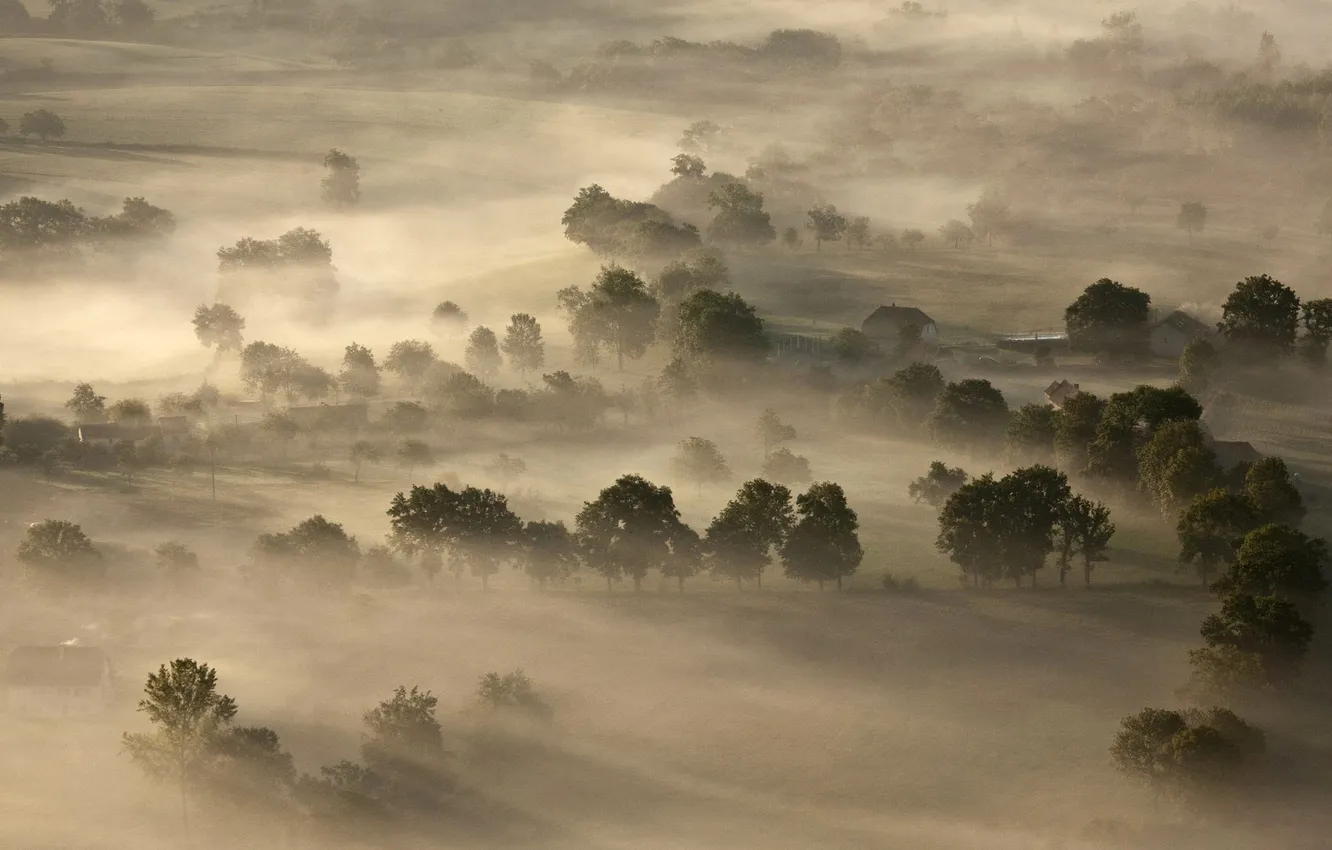 Фото обои деревья, туман, Франция, Центральный массив