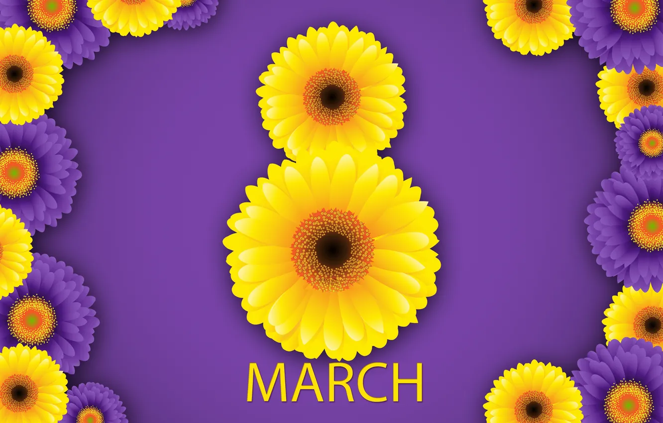Фото обои happy, 8 марта, хризантемы, flowers, женский день, women's day