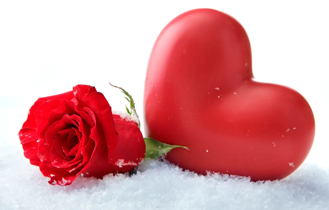 Фото обои фон, роза, сердечко, день Святого Валентина