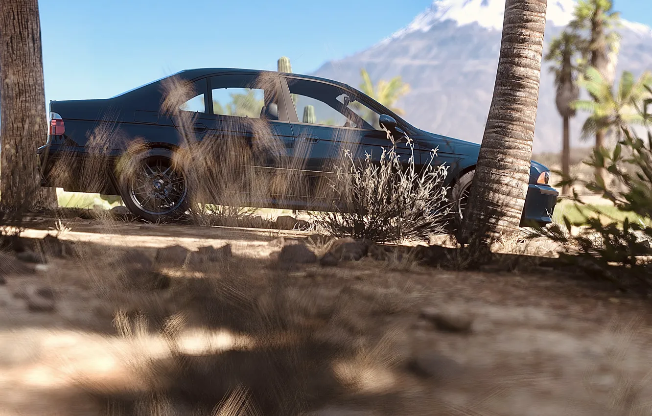 Фото обои HDR, BMW, Mountain, Game, e39, Trees, Plants, 5er