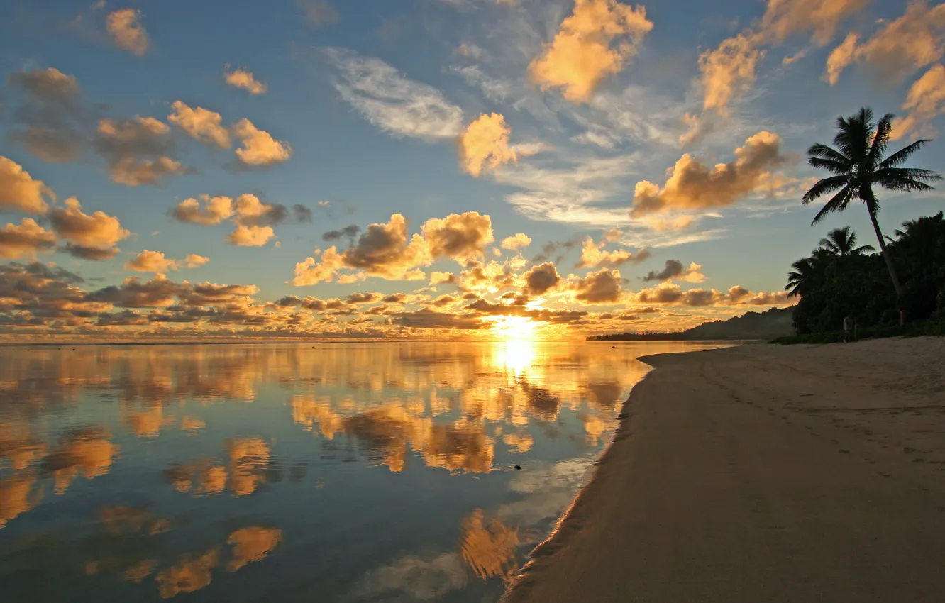 Фото обои море, солнце, пальмы, берег